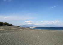 三保の松原と富士山