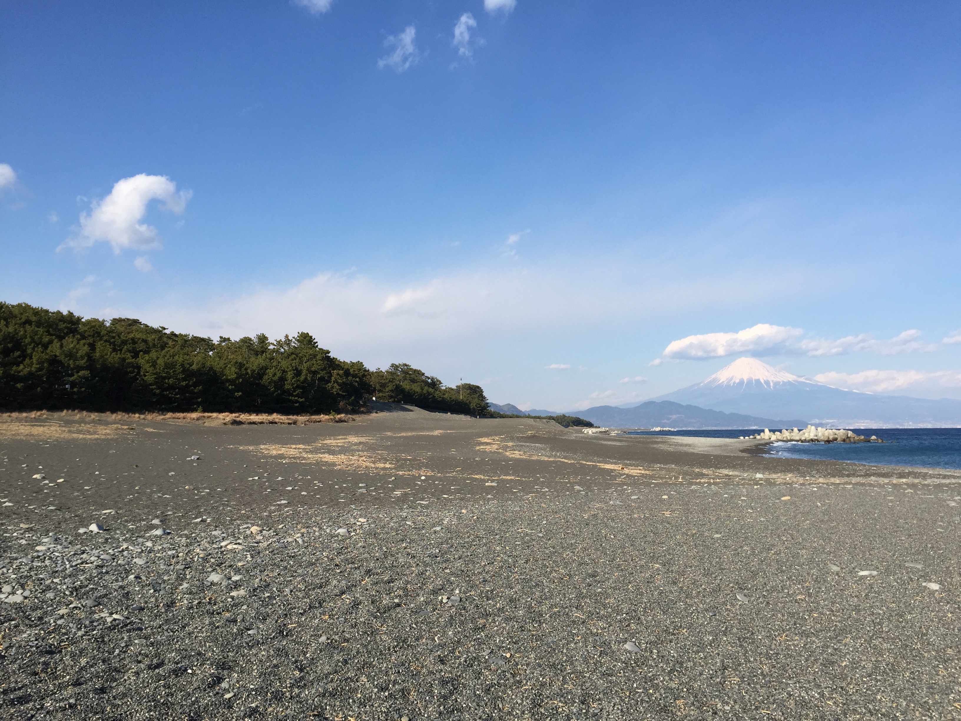 三保の松原と富士山