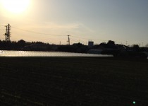 富里インター付近の畑
