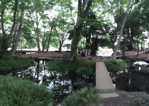 三島の白滝公園